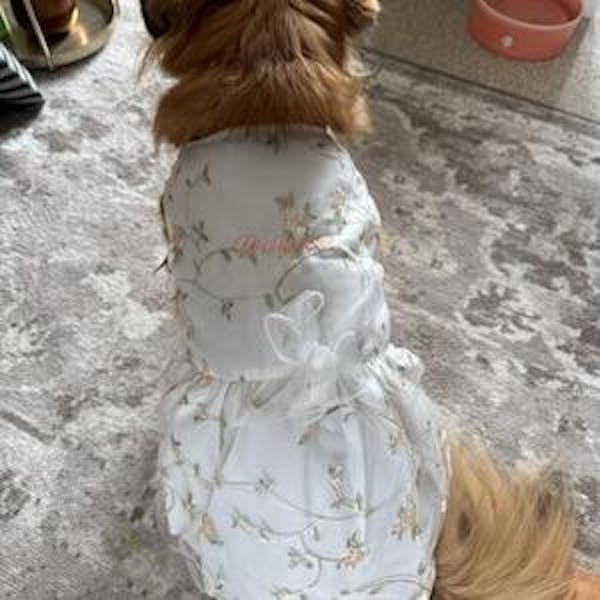 Personalized Double-Layer Princess Dog Dress with Embroidery Name