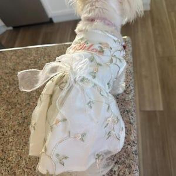 Personalized Double-Layer Princess Dog Dress with Embroidery Name