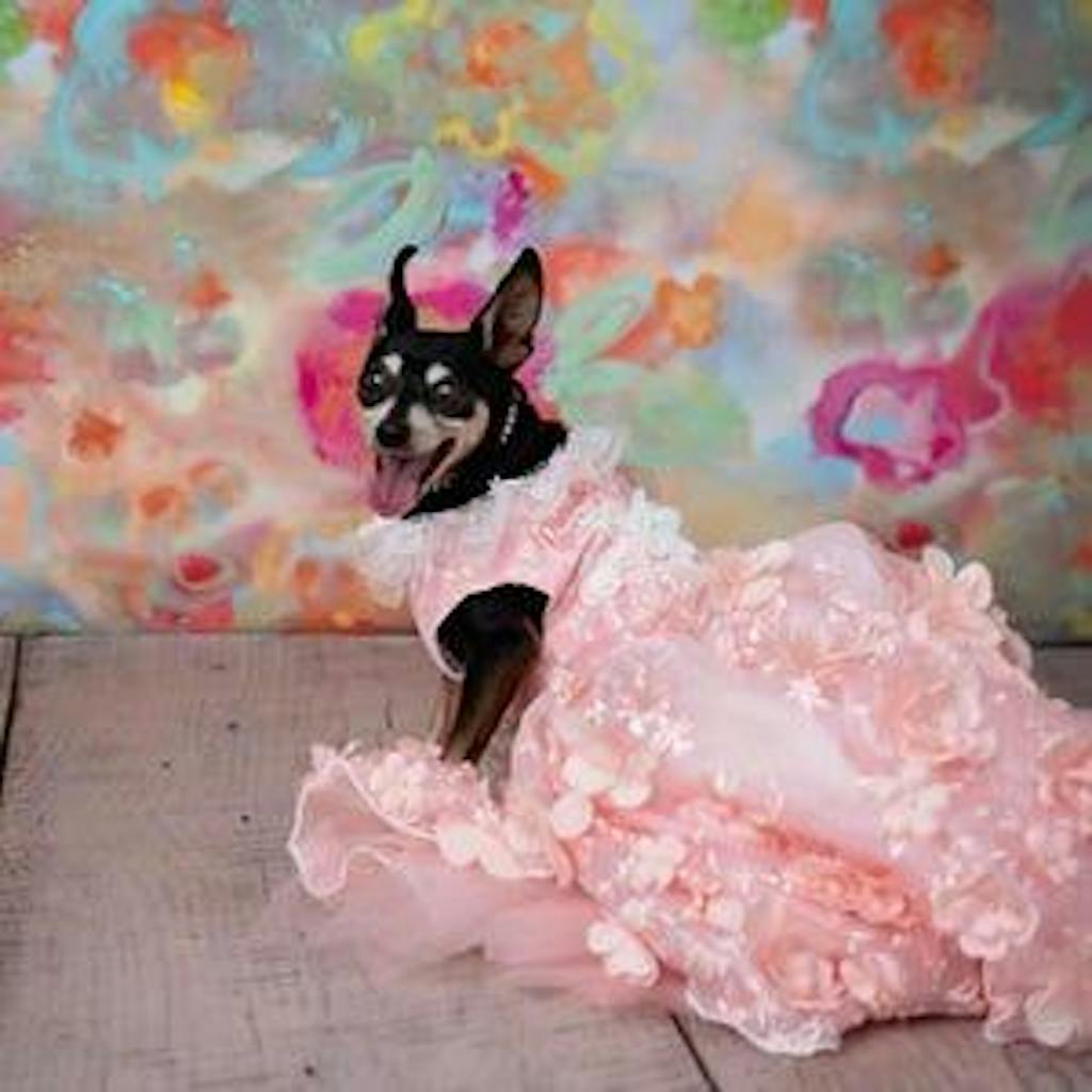 Pink 3D Floral Wedding Gown for Dogs/Cats – Long Train