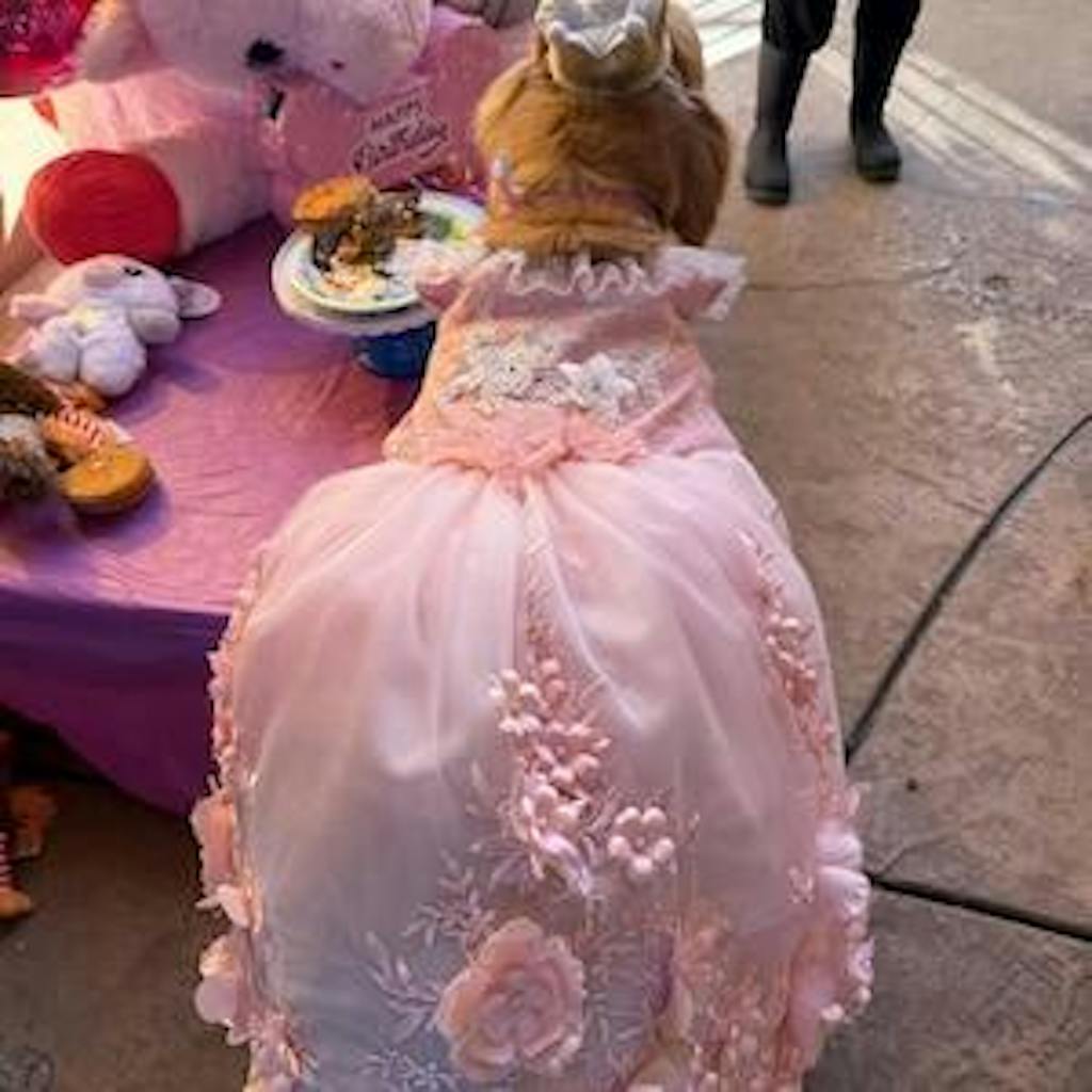 Pink 3D Floral Wedding Gown for Dogs/Cats – Long Train
