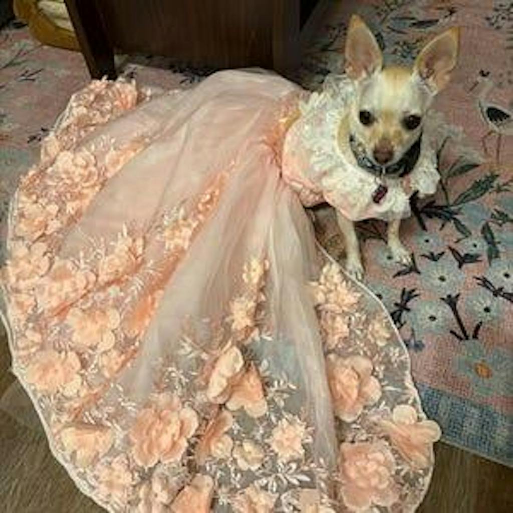 Pink 3D Floral Wedding Gown for Dogs/Cats – Long Train