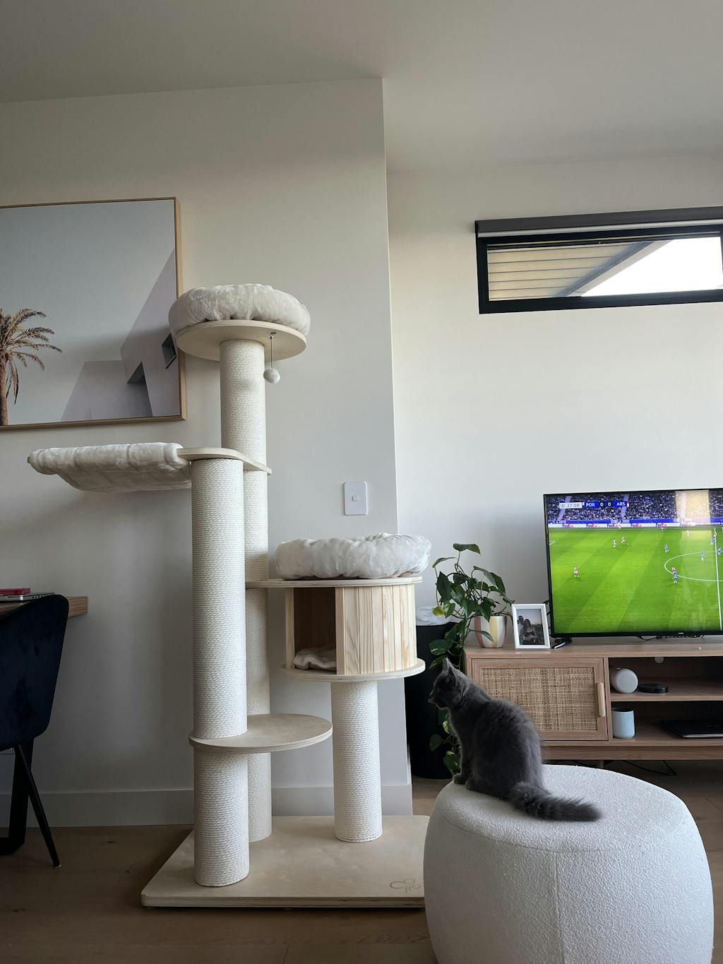 CATIO Cat Scratching Post Cat Tree Petso