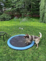 Dog Sprinkler Mat - Blue water mat Ø 100 cm