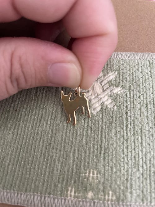 Ciondolo cane argento o ottone