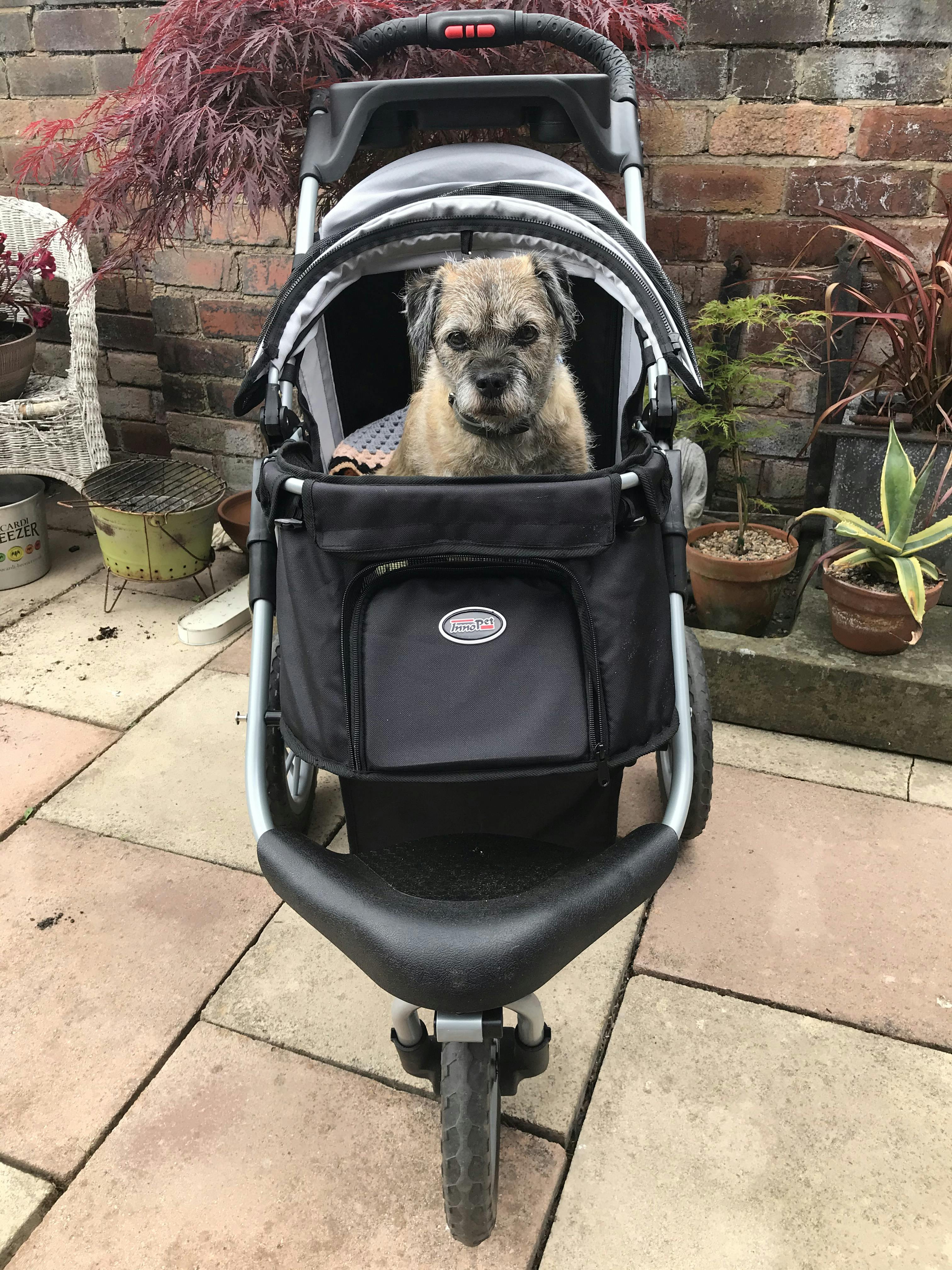 Best Dog Strollers in the UK for your breed, 2020 Free UK Shipping