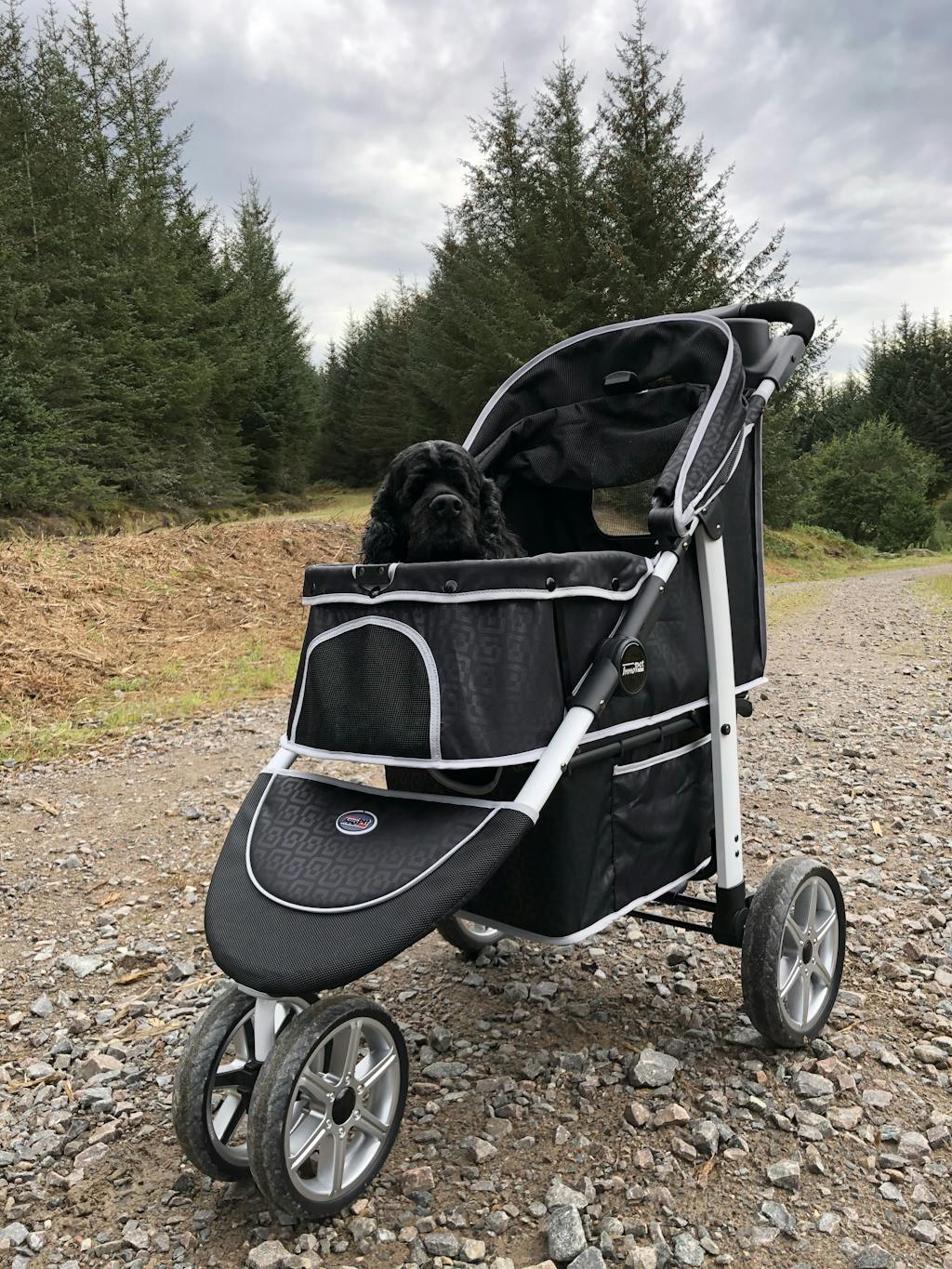 Innopet® Monaco Dog & Cat Stroller UK With Rain Cover Black Pets Own Us