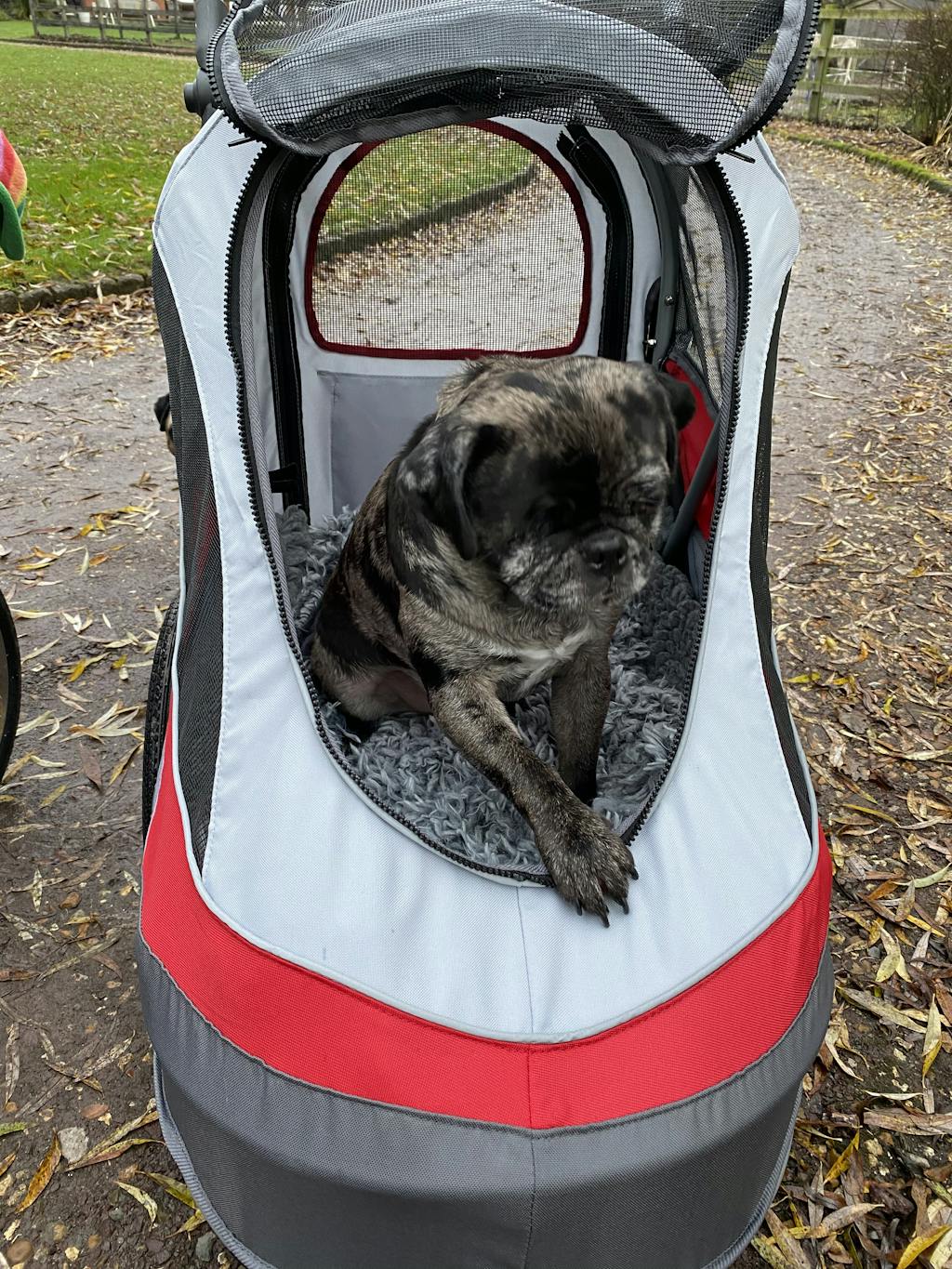 InnoPet® Sporty Dog Stroller & Bike Trailer Red/Off White IPS056/AT