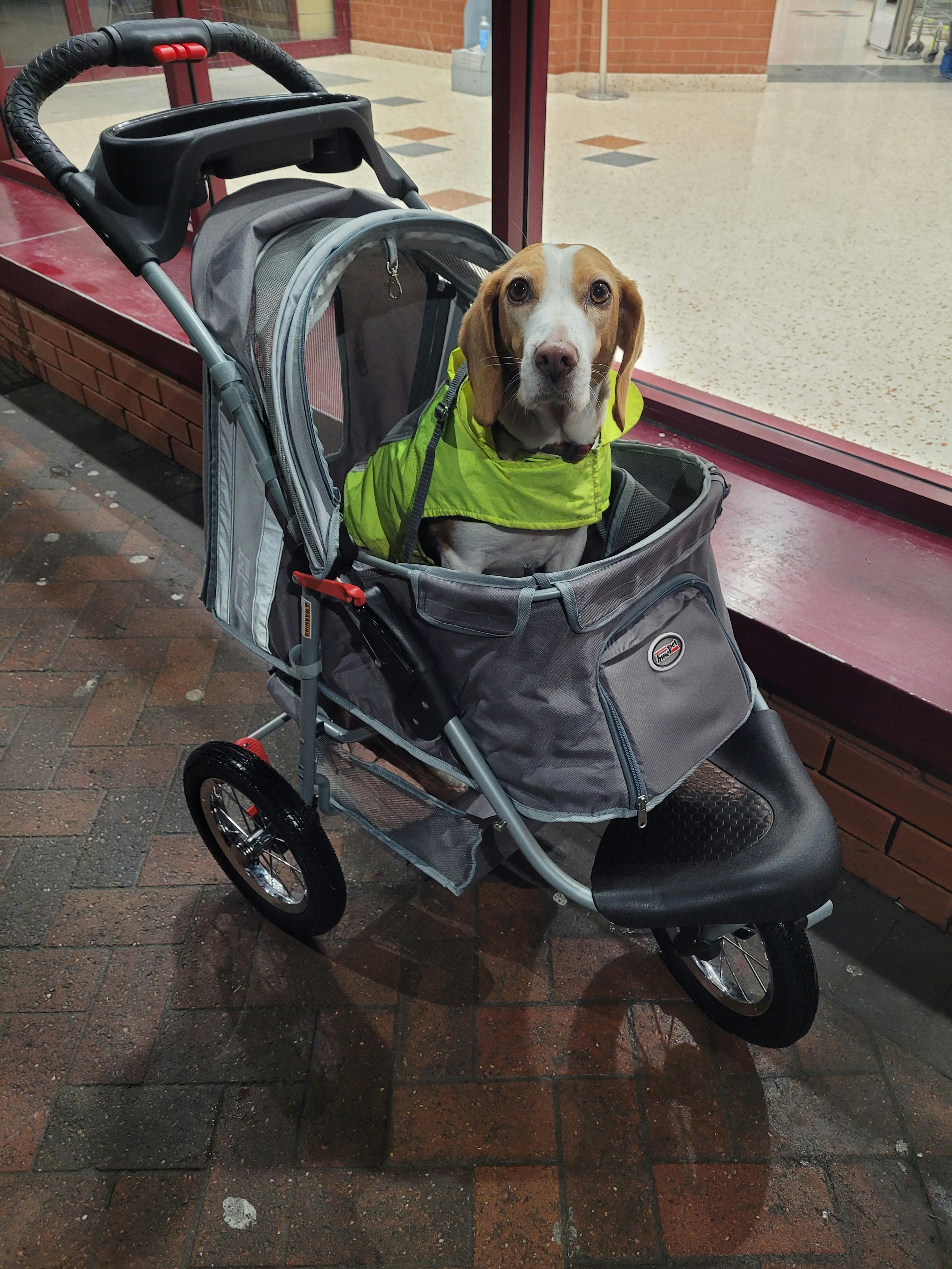 Service dog outlet stroller