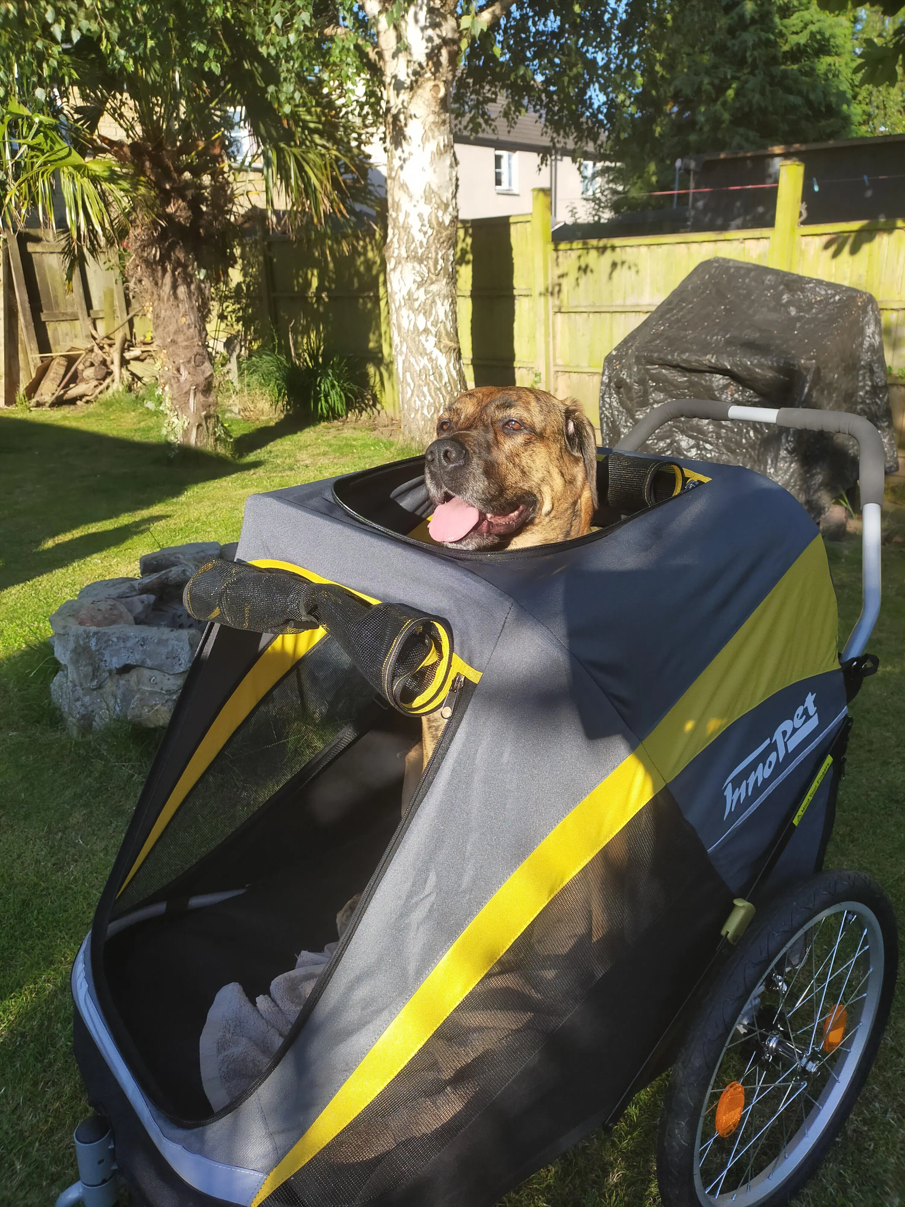 Dog Bike Trailer Uk