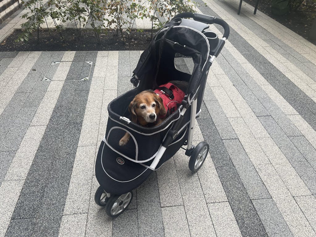 Innopet® Monaco Dog & Cat Stroller UK With Rain Cover Black Pets Own Us