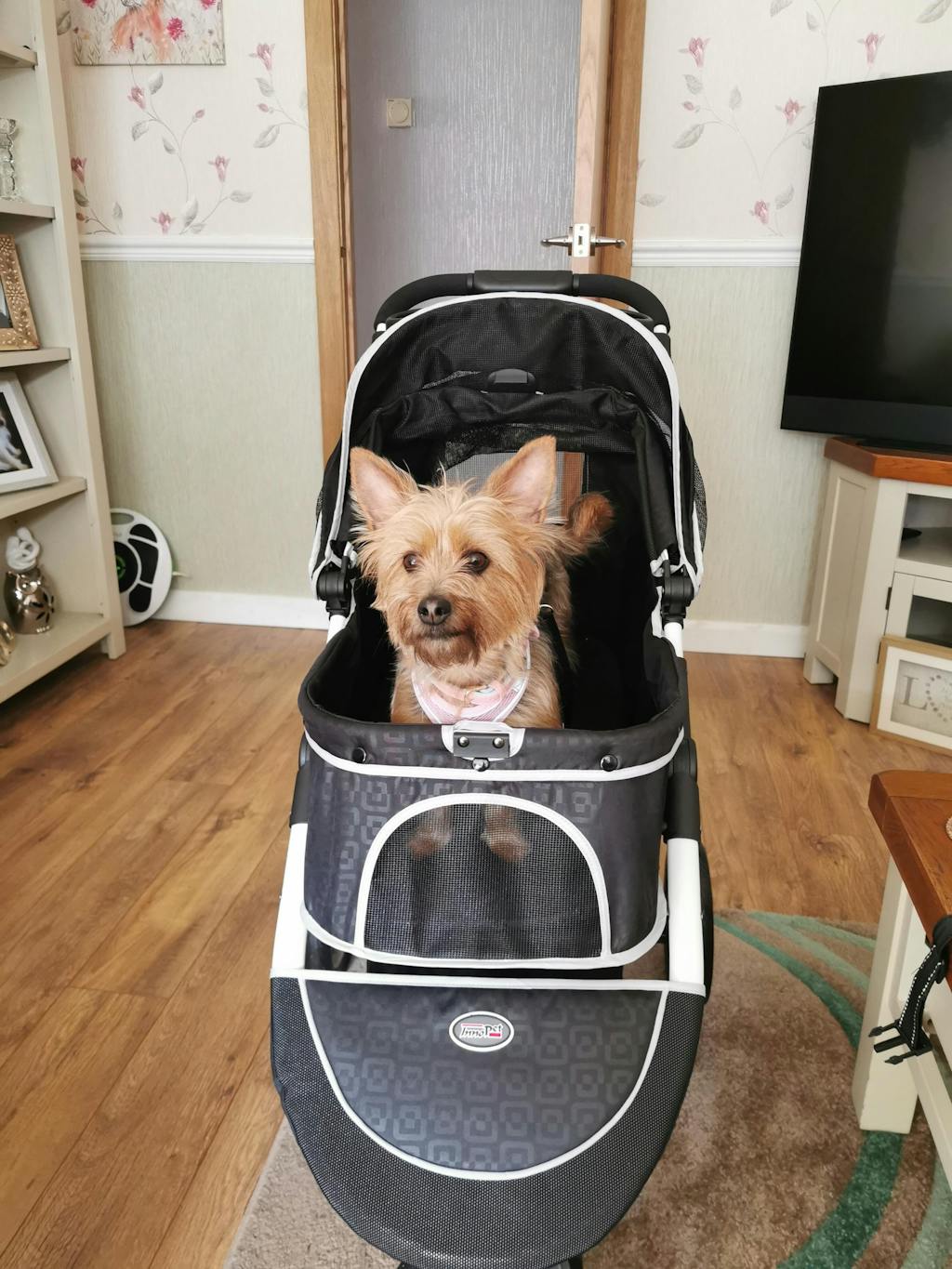 Innopet® Monaco Dog & Cat Stroller UK With Rain Cover Black Pets Own Us