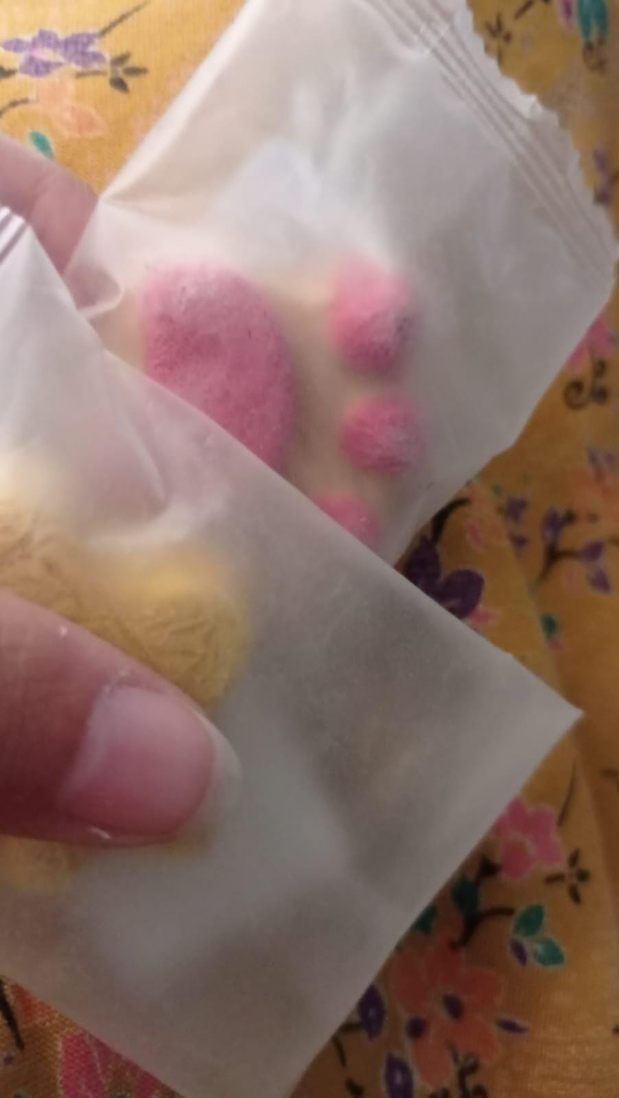 Paw Shape Treat for Cats & Dogs