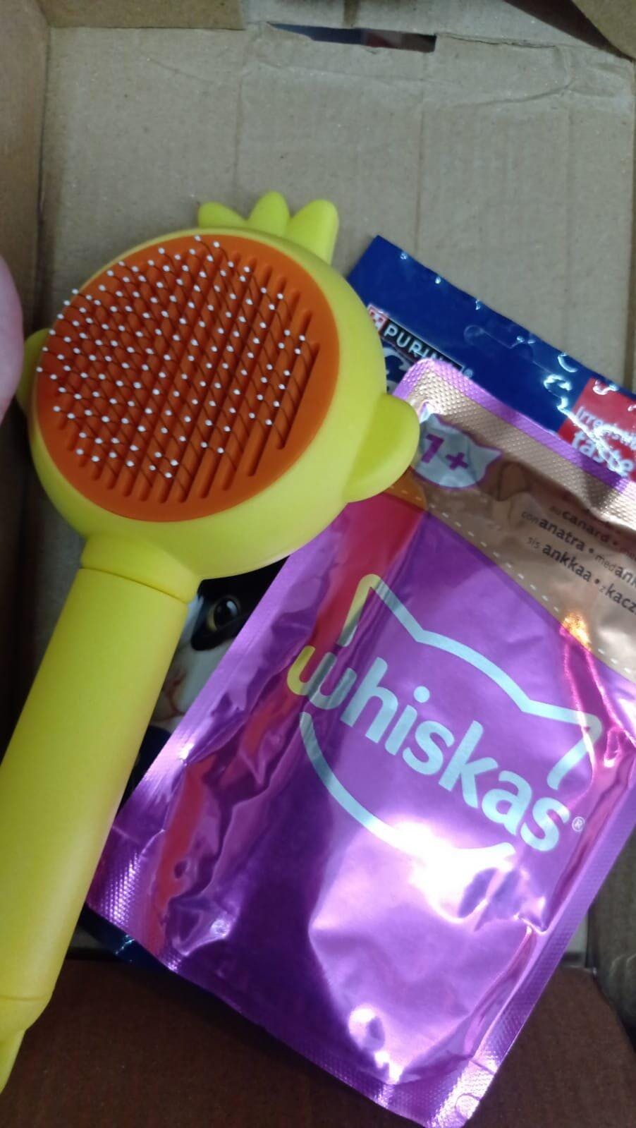 Pet Self Cleaning Bunny Brush