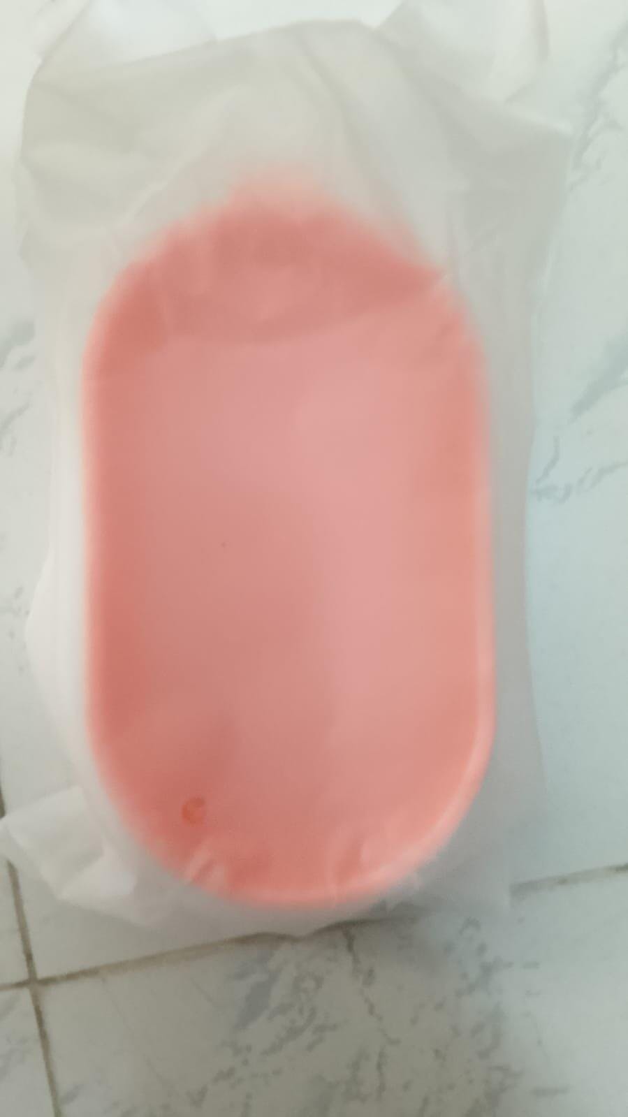 Cat Grass Growing Kit (With Free Seeds)