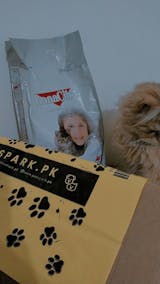 Bonacibo Kitten Food - 1.5 Kg (Made in Turkey)