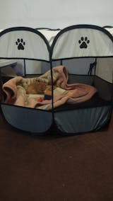 Kitten Cat Puppy Large Size Play Pen Kennel