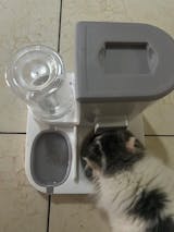 Large Capacity Water & Food Dispenser for Pets