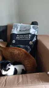 Nourvet Natural Cat Food