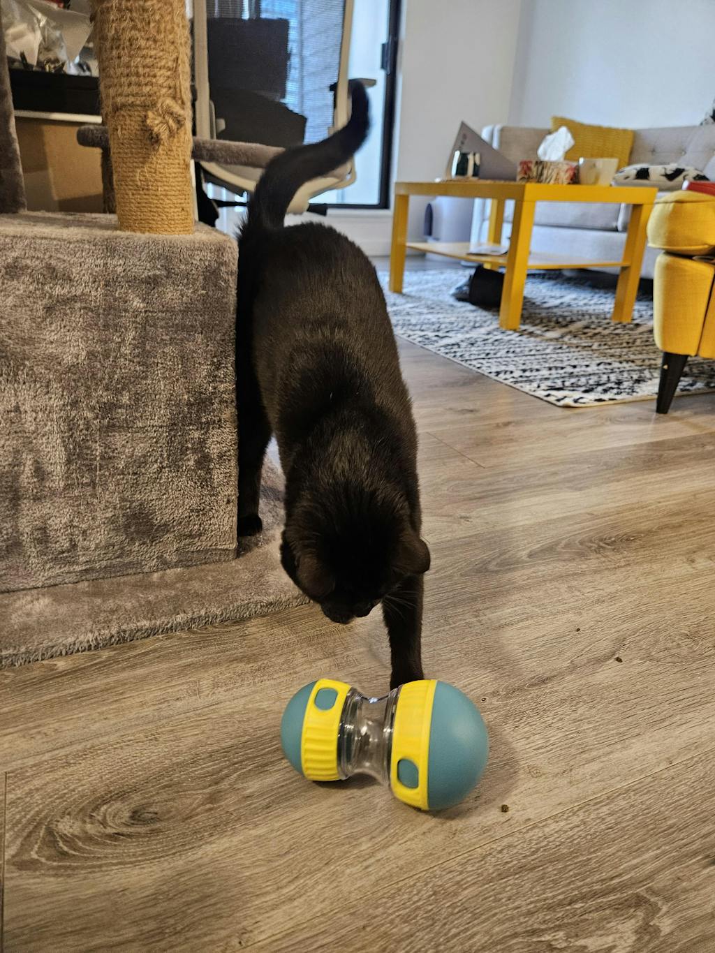 Interactive Slow Feeder Oval Toy – Dog Food Dispenser