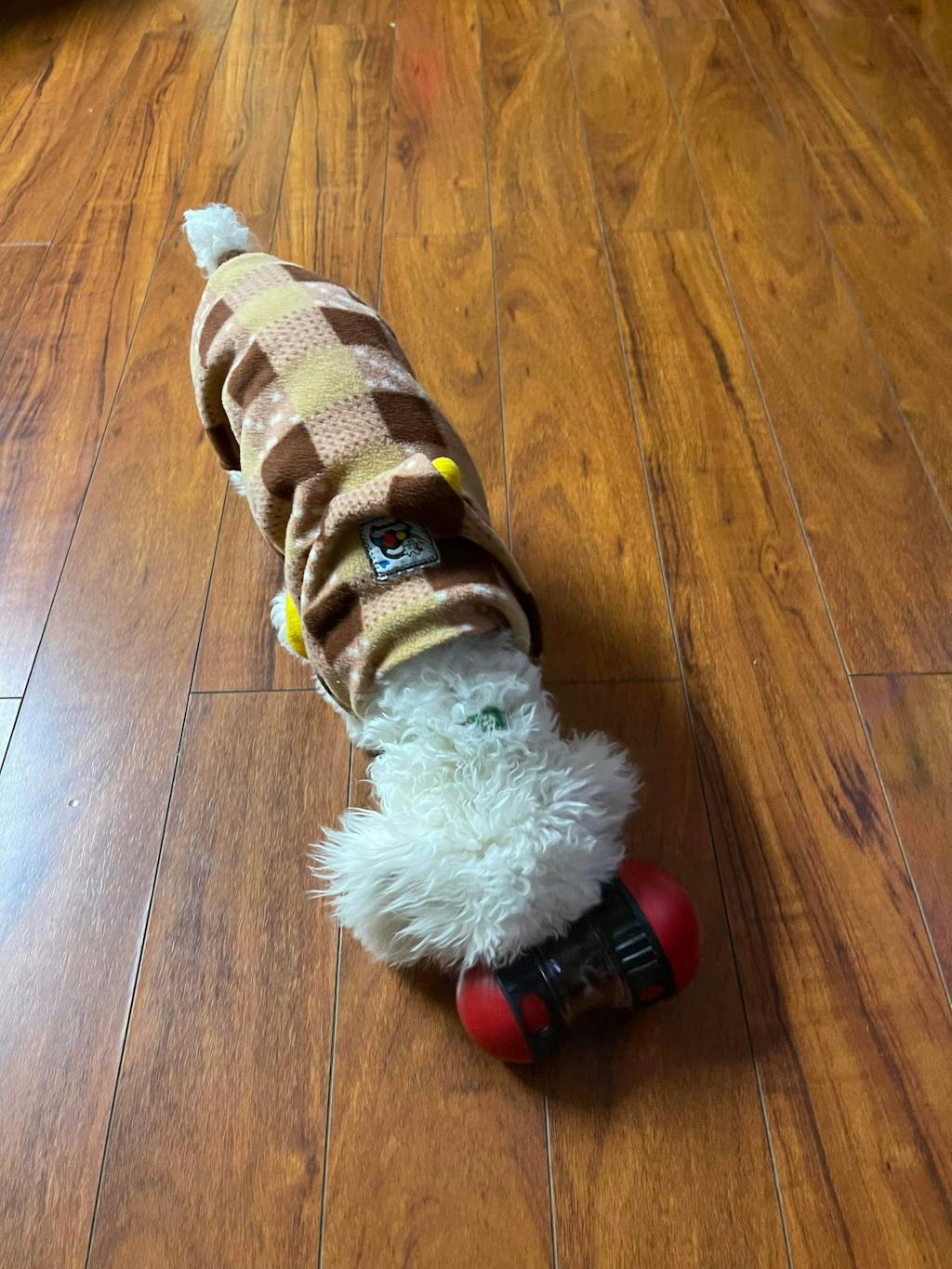 Interactive Slow Feeder Oval Toy – Dog Food Dispenser