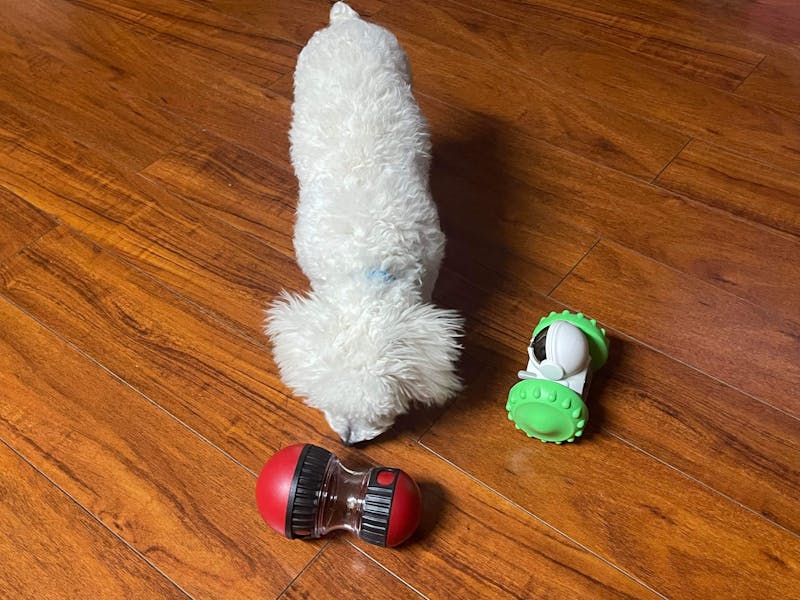 Interactive Robot Slow Feeder Toy – For Dogs & Cats