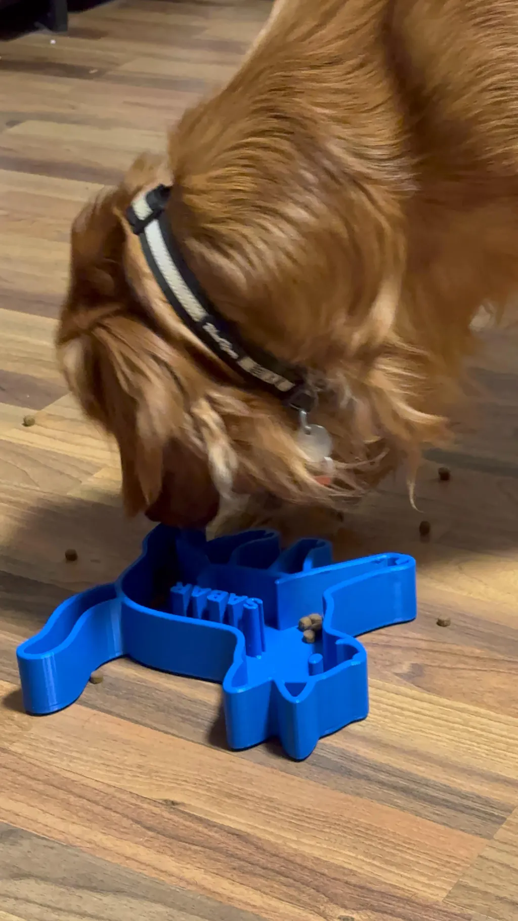 Personalized Slow Puzzle Feeder Bowl – C Series