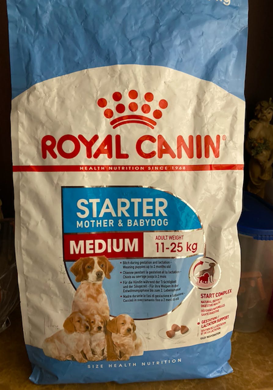 Buy Royal Canin Canine Health Nutrition Starter Medium Breed
