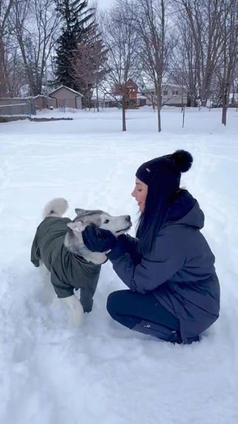 Dog Lightweight Windbreaker-Dog Outdoor Jacket-Dark Olive[USA]