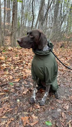 Dog Lightweight Windbreaker-Dog Outdoor Jacket-Dark Olive[USA]