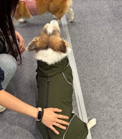 柯基連身式極輕風衣 -深橄欖綠