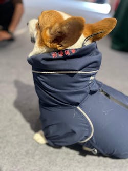 柯基連身式透氣雨衣 -暗夜藍(台灣限定款)