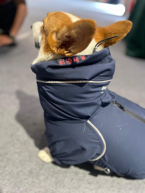 柯基連身式透氣雨衣 -暗夜藍(台灣限定款)