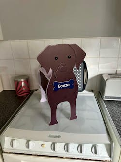 Petwithhome.com