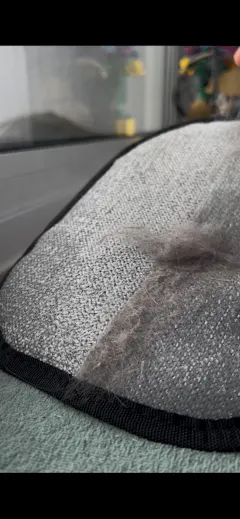 Review picture