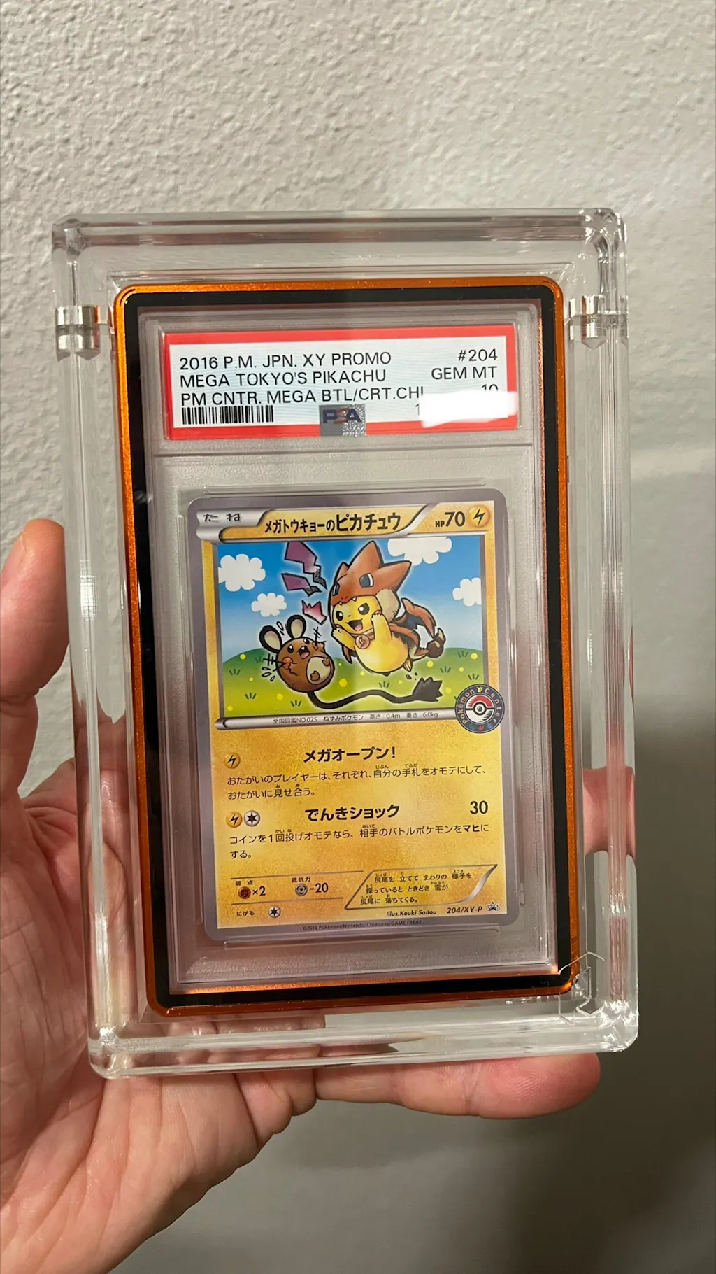 Phantom x GradedGuard | Phantom Display