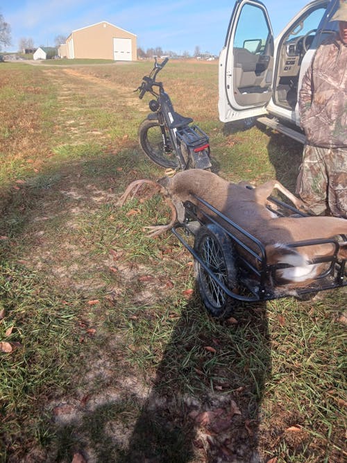 PHILODO Jumbo Dual Motor Dual Battery Full Suspension Electric Bike