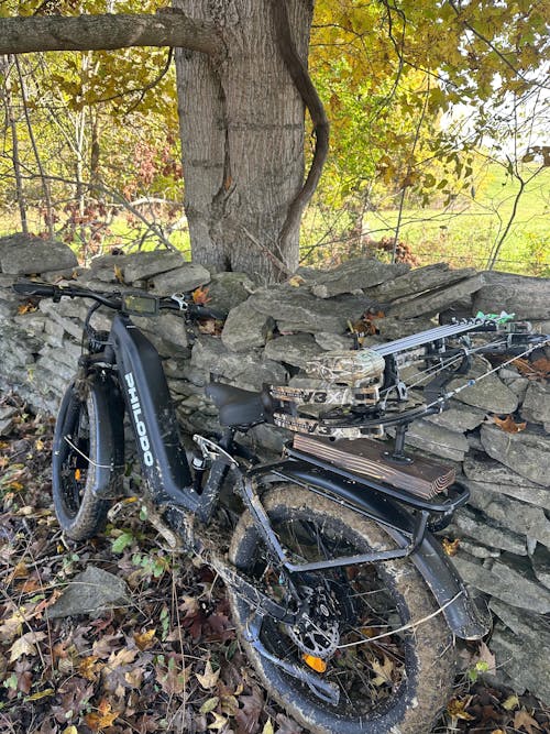 PHILODO FALCON 60V Dual Motor Electric Bike Full Suspension