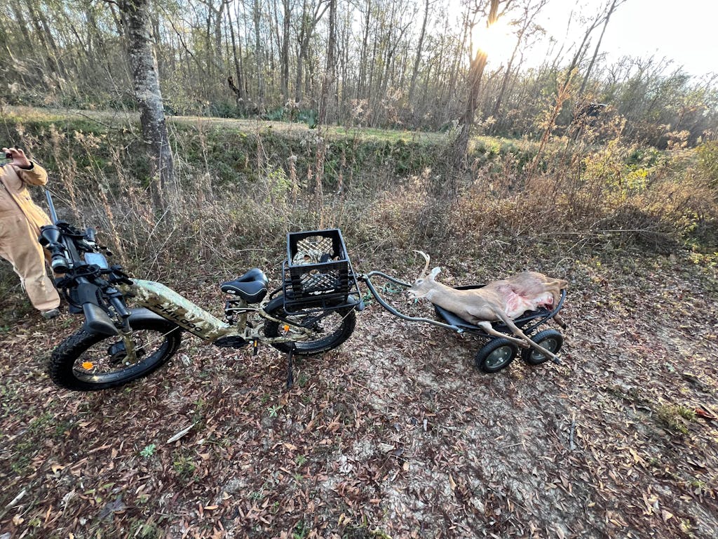 PHILODO FALCON Step-Thru 60V Dual Motor Electric Bike