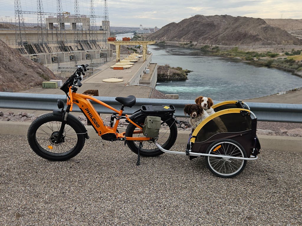 PHILODO FALCON Step-Over 60V Dual Motor Electric Bike
