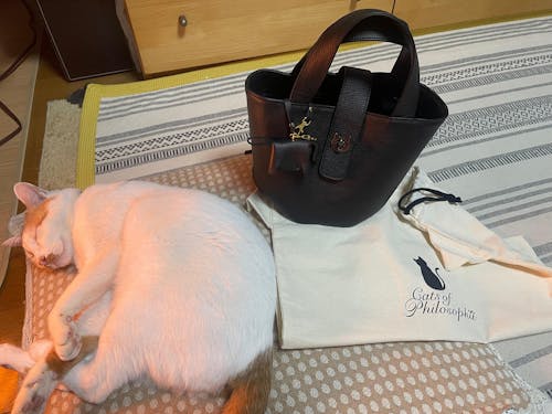 【12/7(日)22:00～ 26時間限定販売】【数量限定】[NEW]バケットバッグ  PAW (パウ)   キュイール・マッシュ / ブラック [選べる金具]