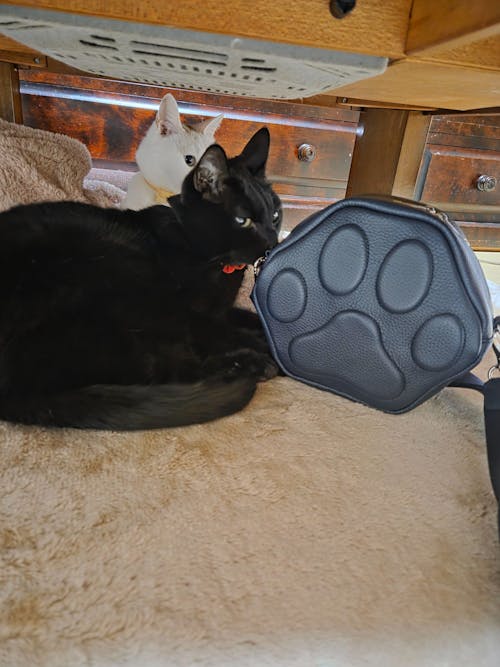 PAWポシェット  キュイール・マッシュ  /  ブルーニュイ