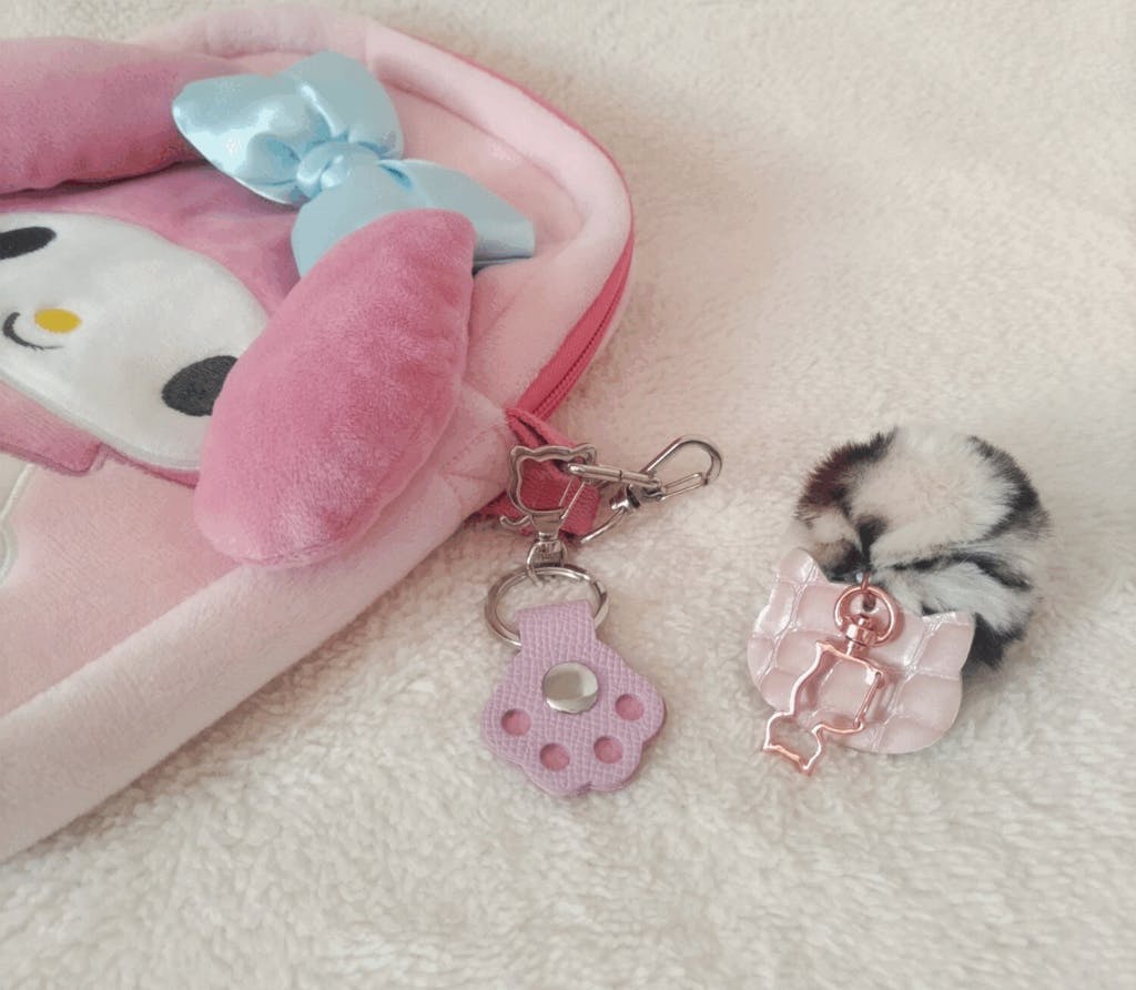 バイカラー肉球ホルニャー ガチャ 　(1匹)