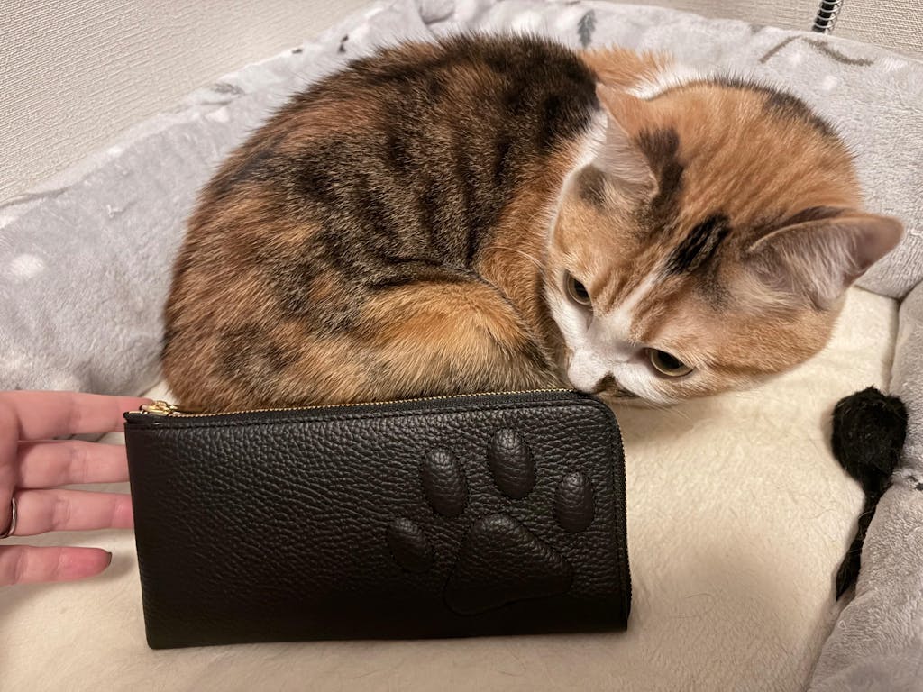 PAW L字ファスナー長財布　キュイール・マッシュ  /   ブラック