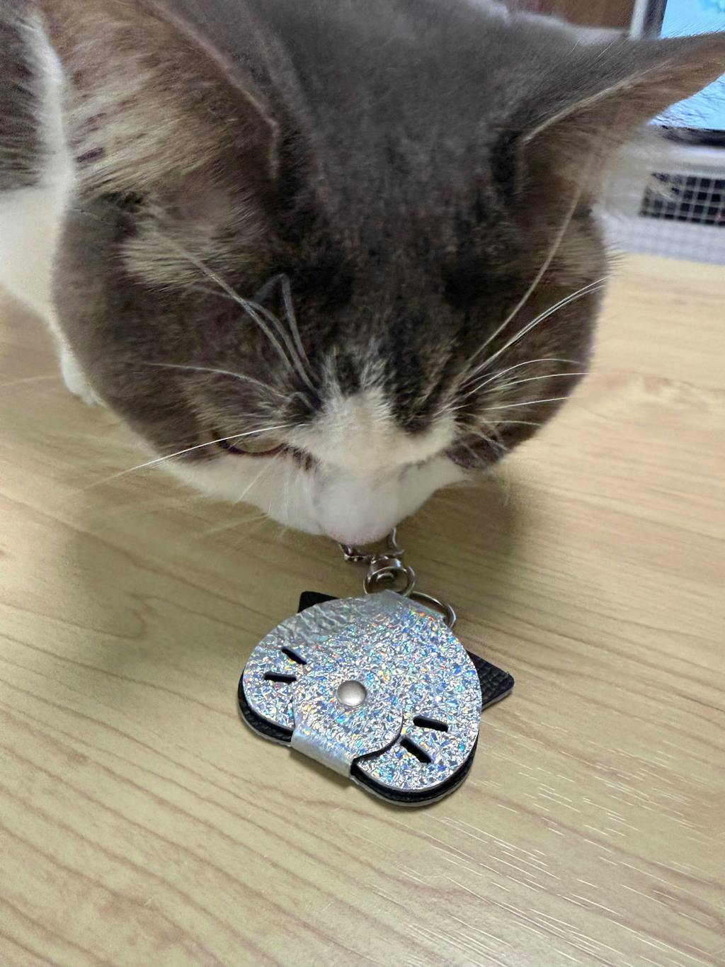 にゃんフェイスニャーホルダー ガチャ 　(1匹)