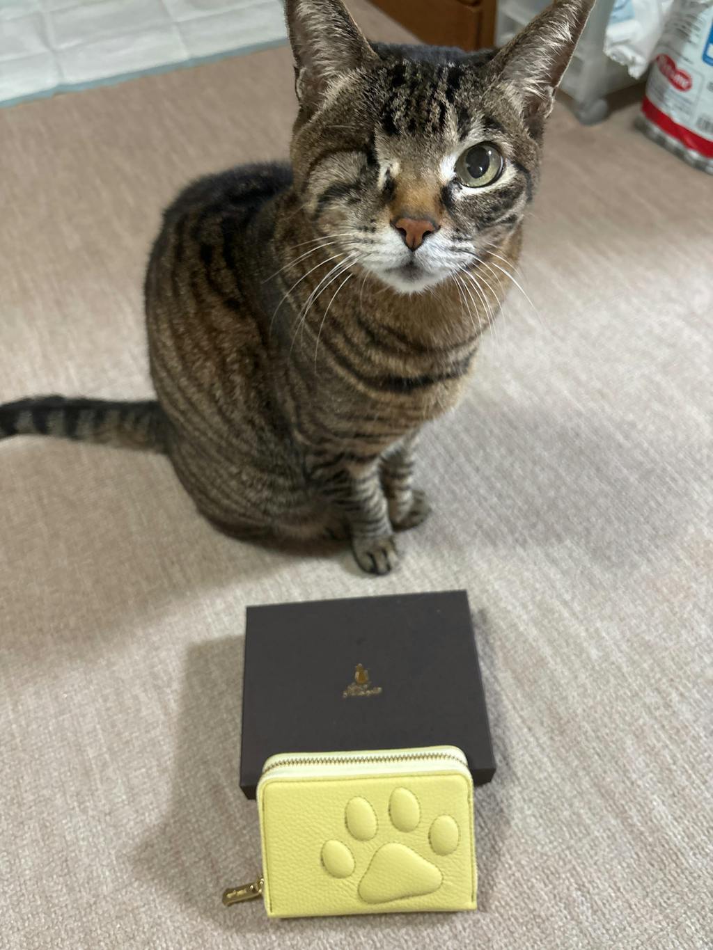 レザーアトリエPhilosophii <フィロソフィ>