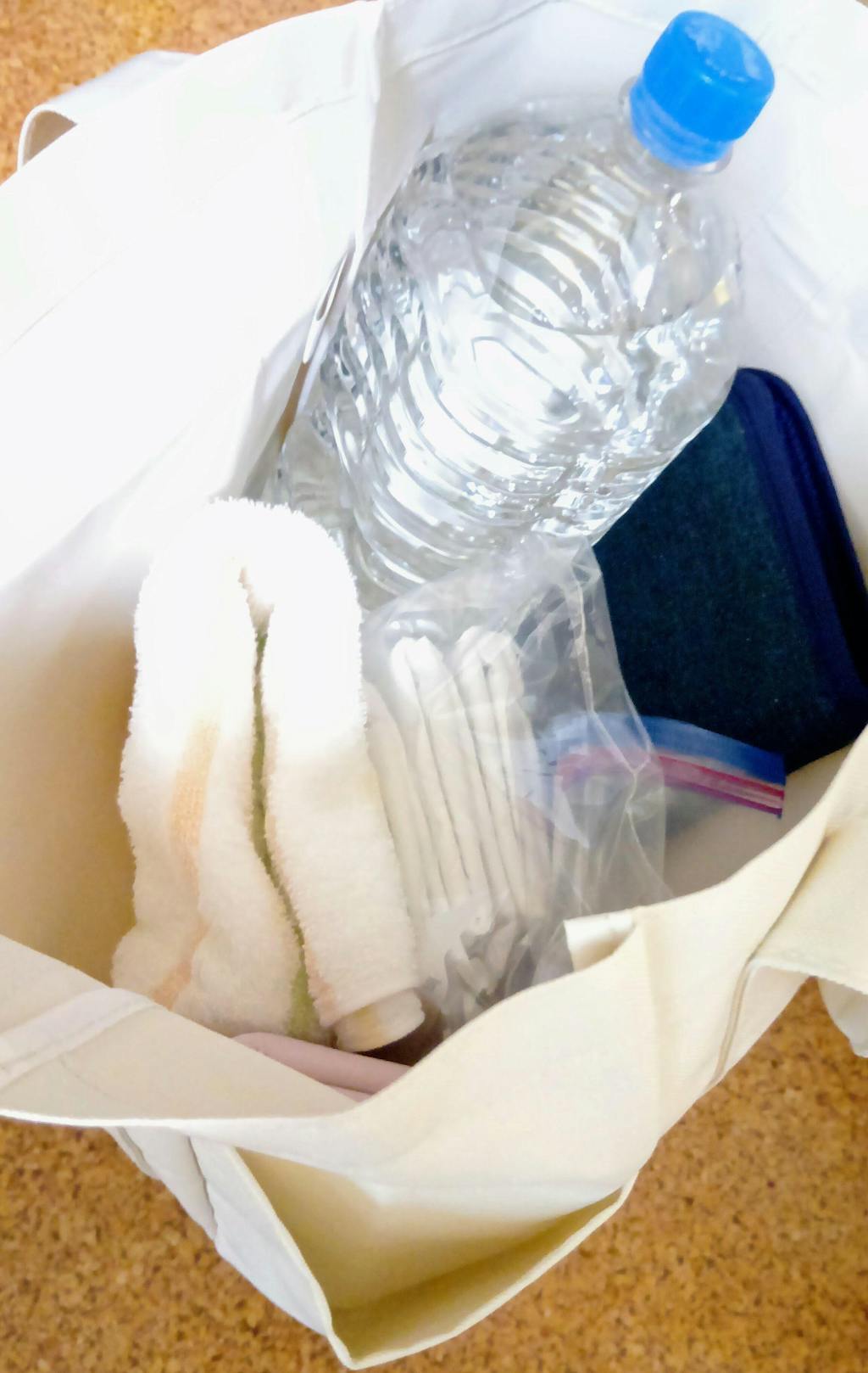 保護猫チャリティー ニャンプリートSET  /  ナチュラル