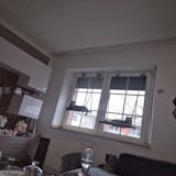 Phinias Fensterliege - Katzenliege Fensterplatz mit Fensterhaken