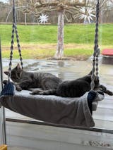 Katzen Fensterliege XXL - Phinias Katzenliege Fensterplatz mit Fensterhaken - Für Großkatzen wie Main-Coone, Norwegische Waldkatzen