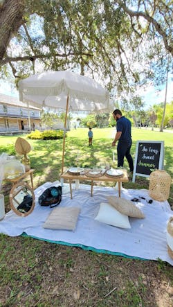 “The Polished Picnic”