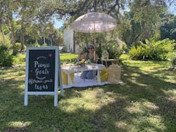 Large Picnic Party for Montana Foley